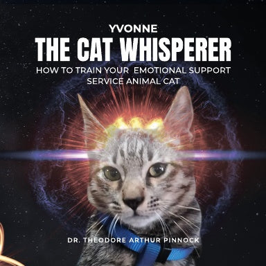 Book Cover Variant Thumbnail